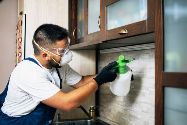 Reliable Ottawa, OH Pest Control Solutions