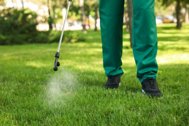 Wildlife Control Services in Ottawa, OH