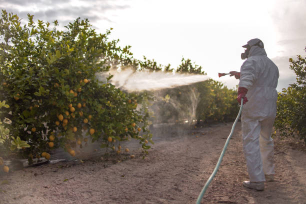 Best Mosquito Control Services  in Ottawa, OH